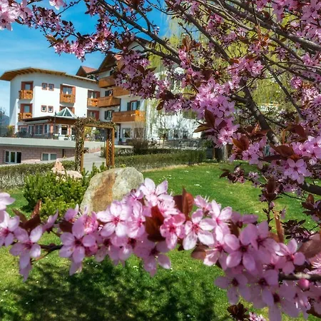 La Montanina In Val Di Non Malosco